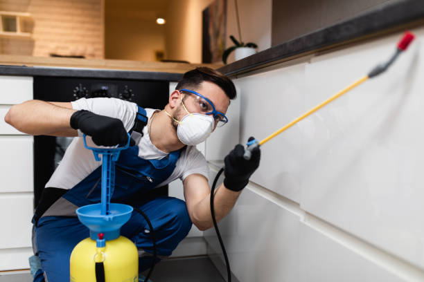 Best Pest Prevention Services  in Siloam Springs, AR