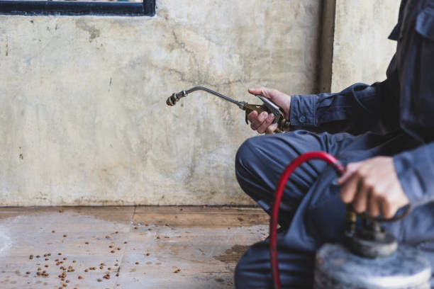 Professional Pest Control in Siloam Springs, AR